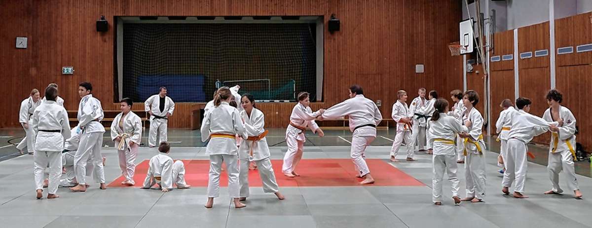 Schritt für Schritt zur Gürtelprüfung heißt es beim Judo-Club Efringen-Kirchen