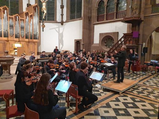 Hochkarätig: Das THG-Orchester unter der Leitung von Clemens Barth. Foto: Anja Bertsch