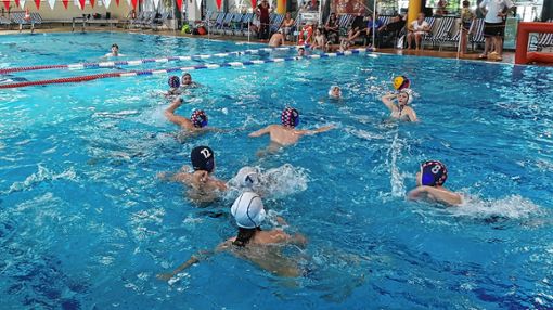 Die SSG Weil am Rhein hat wieder ein Mini-Wasserball-Turnier veranstaltet, an dem vier Mannschaften teilnahmen.     Foto: zVg/Tobias Brodda