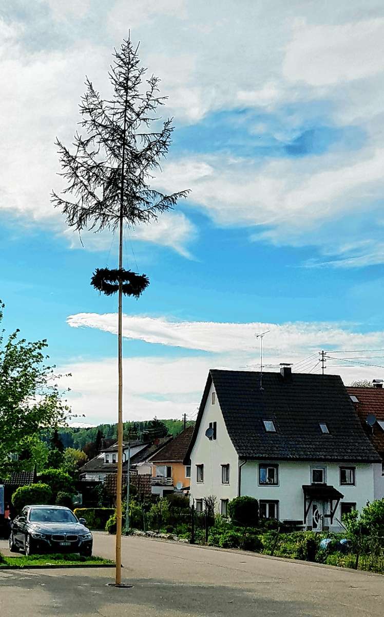 Schopfheim: Maibaum grüßt