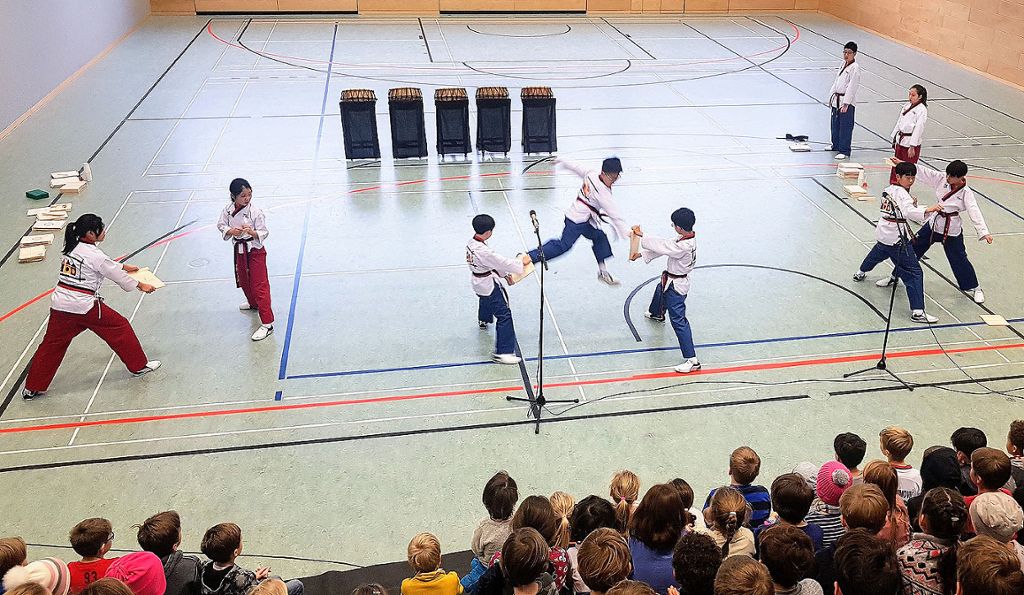 Vor allem die Taekwondo-Aufführung beeindruckte die deutschen Kinder. Foto: zVg