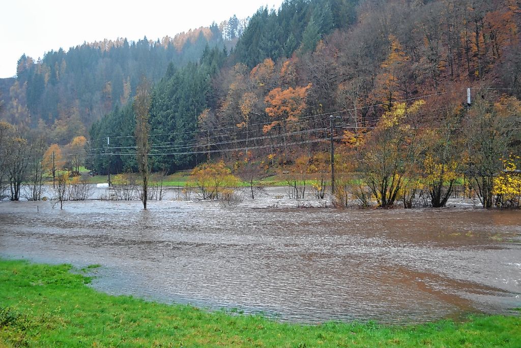 Schopfheim: Hochwasser sorgt für Großeinsatz: 300 Hilfskräfte gefordert