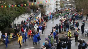 Rheinfelden: Tausende Narren verfolgen Umzug in beiden Rheinfelden