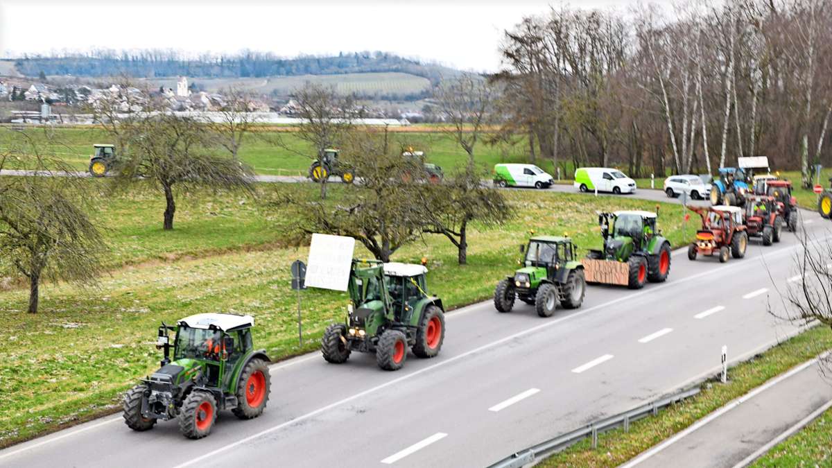 Kundgebung der Landwirte in Müllheim: Wir brauchen eine verlässliche Politik