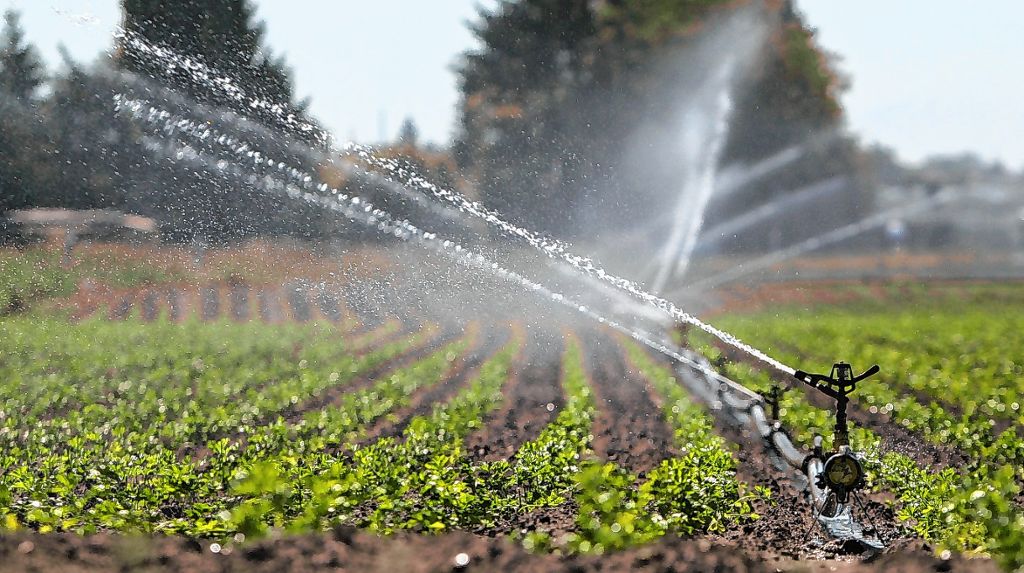 Kreis Lörrach: Kreis Lörrach verzichtet auf Pestizide