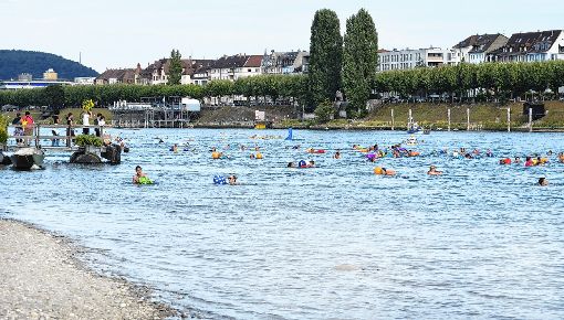 Beim Rheinschwimmen ist auch viel Eigenverantwortung gefragt.  
Archivfotos: Michael Werndorff Foto: Die Oberbadische