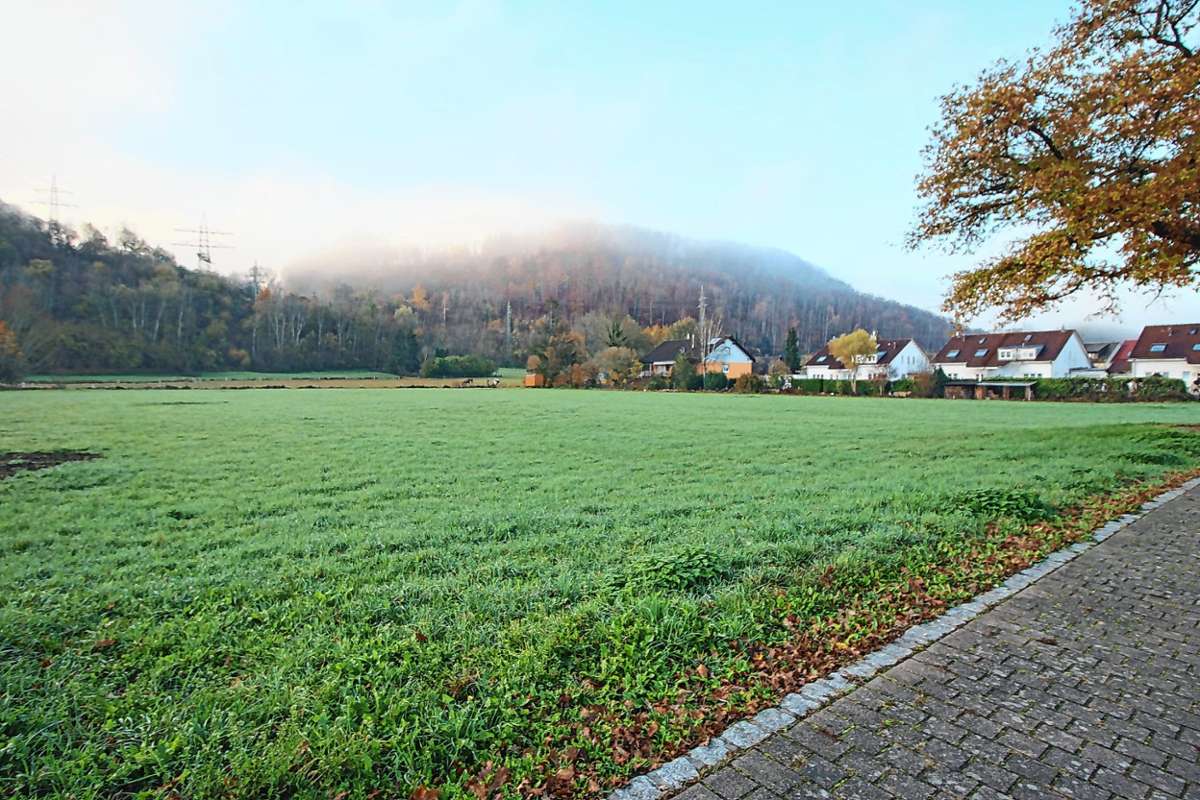 Der Verkauf der Baugrundstücke im Scherracker in Höllstein soll laut Bürgermeister Braun noch 2022 erfolgen. Foto: Harald Pflüger