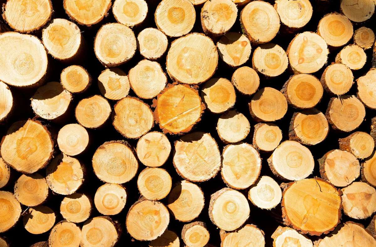 Höhere Holzpreise könnten die Mehrkosten kompensieren. Foto: /pixabay