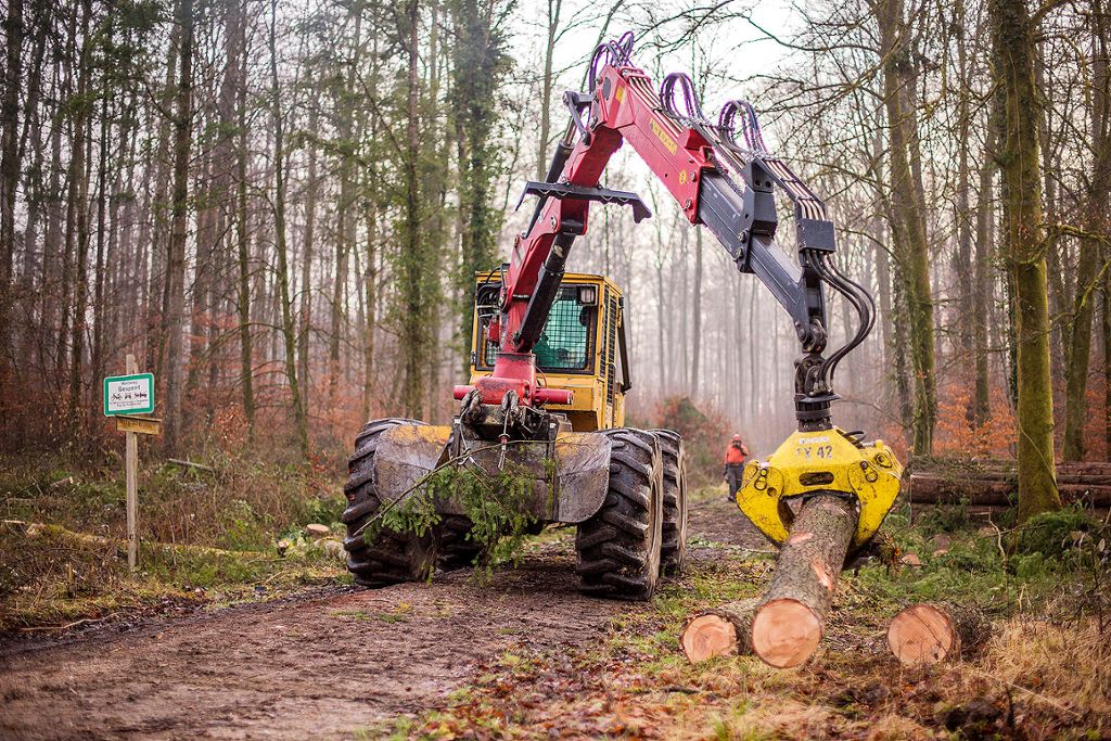 Lörrach: Holzeinschlag im Winter