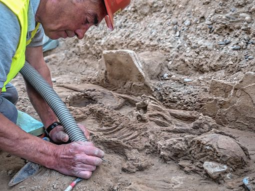 Vorsichtig wird ein rund 1000 Jahre altes Männerskelett ausgegraben. Foto: Adrian Jost, Archäologische Bodenforschung Basel-Stadt