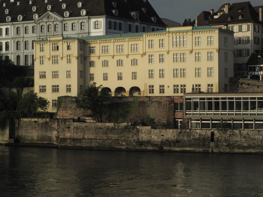 Basel: Bagger schwimmt im Rhein