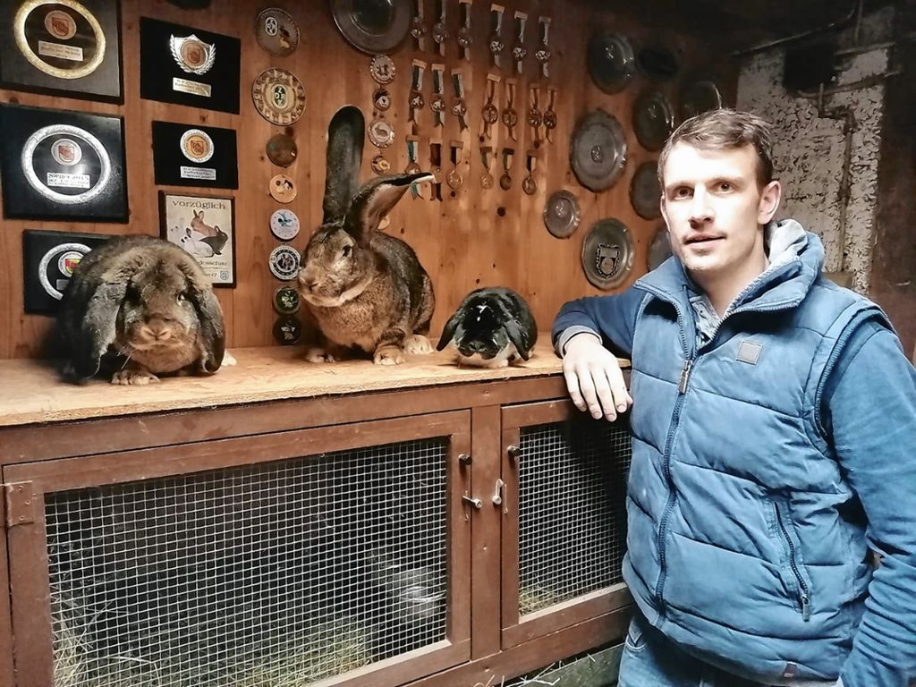 Schliengen: Das Kaninchen als Statussymbol