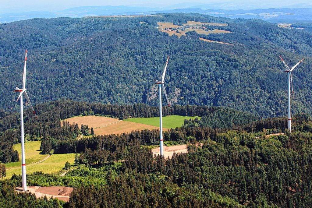 Hasel: Windpark Hasel ist gestern Nachmittag offiziell eingeweiht worden