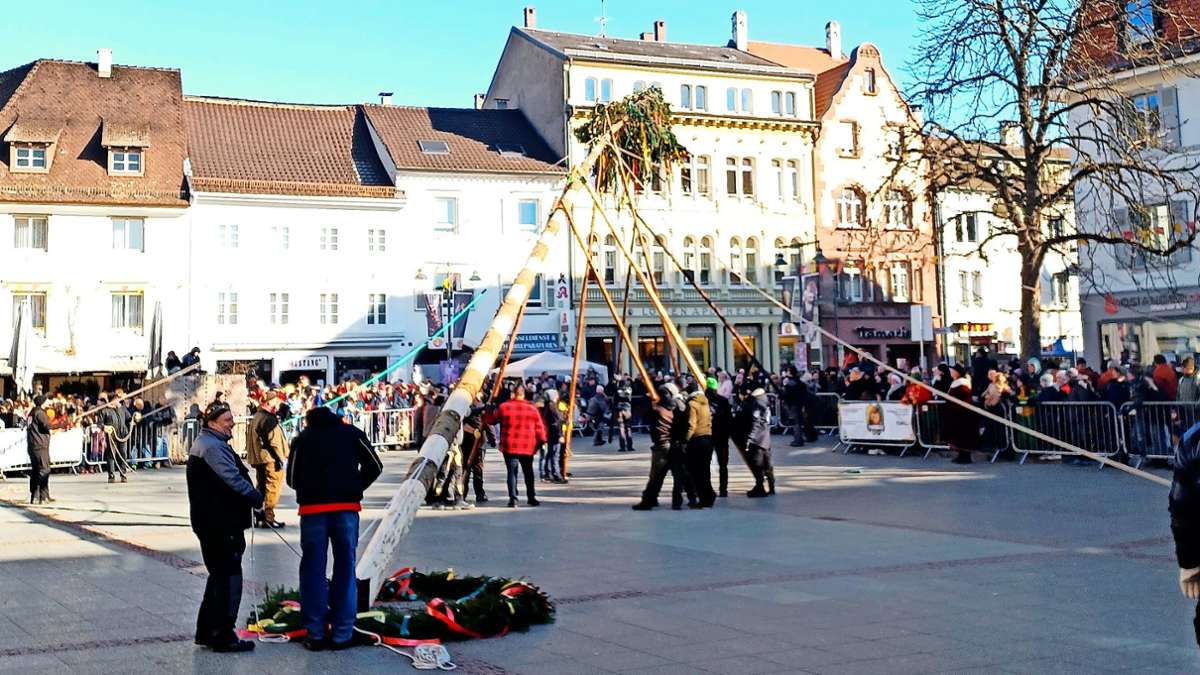 Lörracher Fasnacht: Der Narrenbaum steht im Herzen der Lörracher Innenstadt