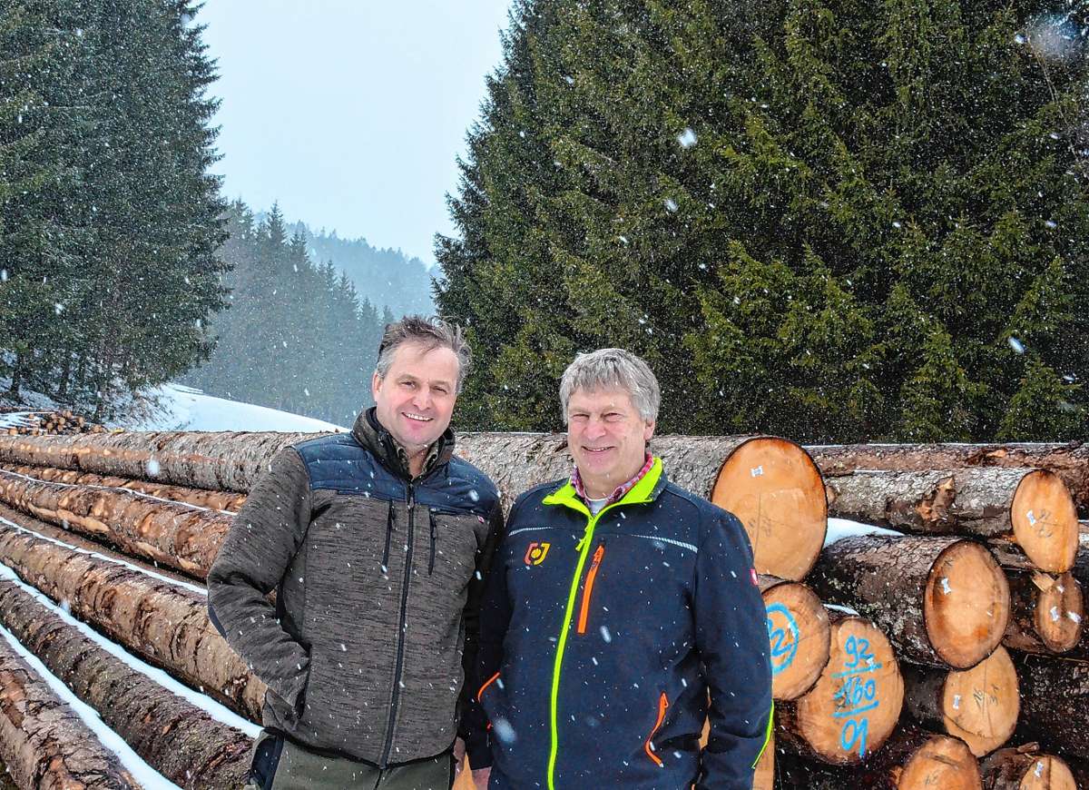 Müllheim: Gemeinsame Vermarktungsplattform für Holz
