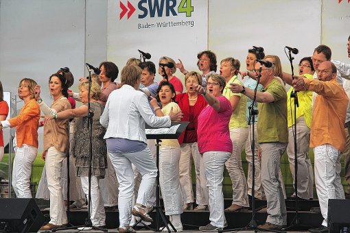 Der Chor inTakt aus Istein drang bis ins Halbfinale des SWR4-Chorduells vor, wo dann leider Endstation war. Foto: SWR Foto: Schwarzwälder-Bote