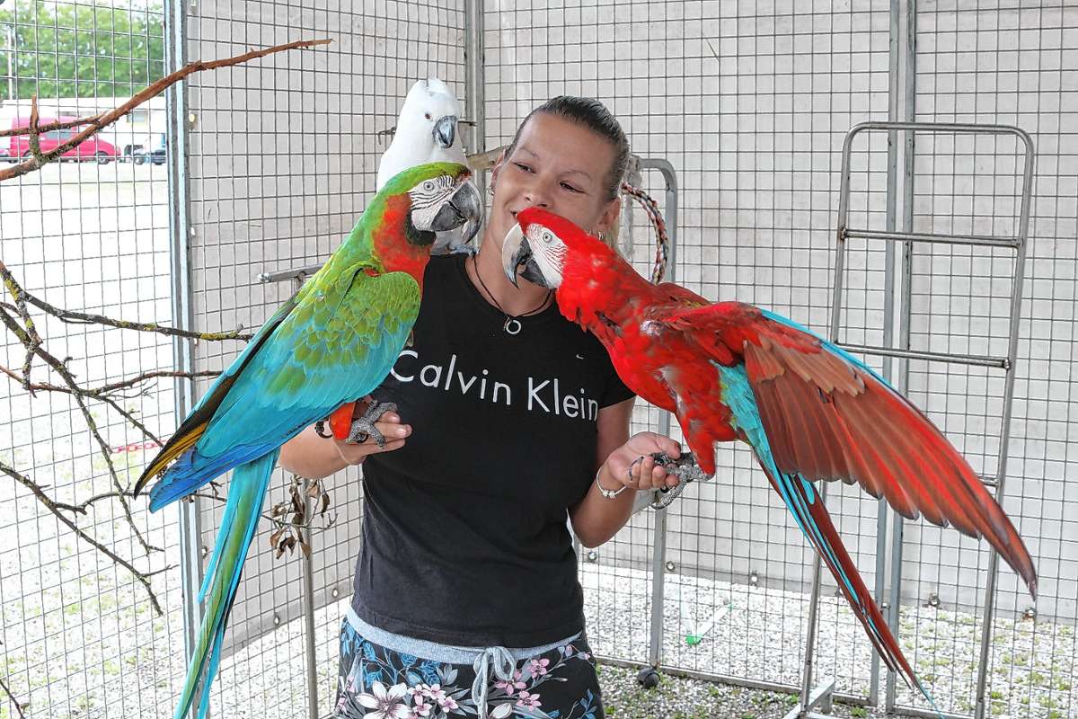 Julia Hajdu mit ihren Papageien.
