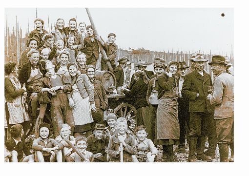 Die Rebenaufbaugenossen während dem Krieg: Jungen, Mädchen und einzelne ältere Leute. Foto: Weiler Zeitung