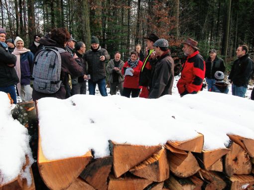 Ein Ster soll her: Holzversteigerung in Hägelberg. Foto: Gabriele Poppen