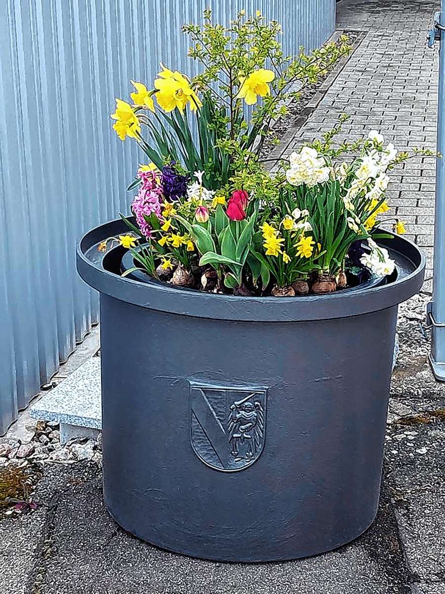 Schopfheim: Blumen fürs schöne Stadtbild