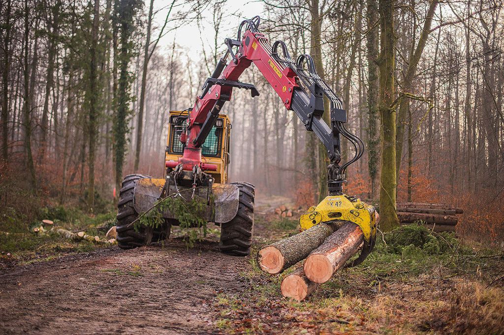 Lörrach: Sensibilisiert für Schäden durch Waldarbeiten