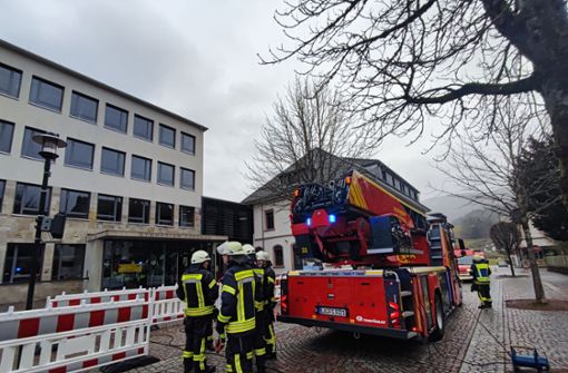 Feuerwehreinsatz am Schönauer Gymnasium. Foto: Verena Wehrle