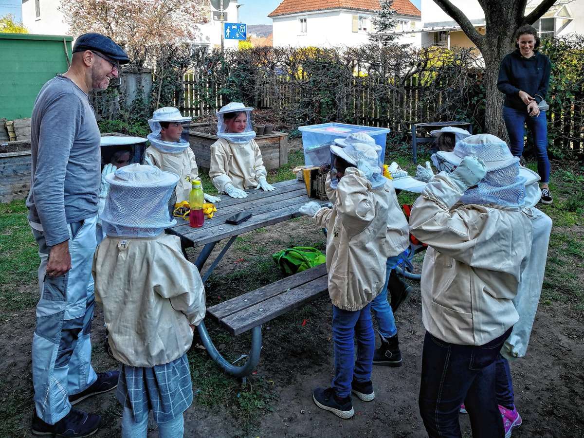 Imker Christian Brendlin mit den Kindern der Bienen-AG der Leopoldschule bei der Aktion des Bienen-Umzugs Foto: Joachim Pinkawa