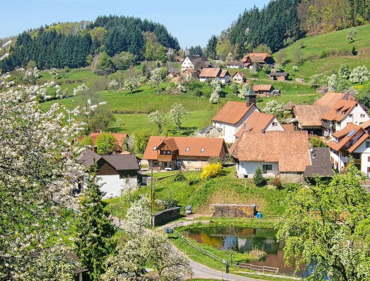Malsburg-Marzell: Gemeinderat lehnt Raumkonzept ab