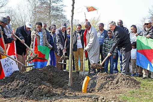 Botschafter Petros Tseggai Asghedom (grauer Mantel) und Michael Wilke (rechts) bei der Baumpflanzung  Foto: Kristoff Meller Foto: Die Oberbadische